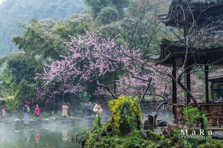 寂静岭：暴雨